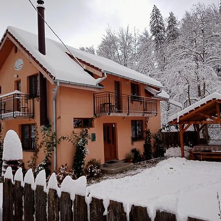 Villa Casa Iulia & Matei Cîrţişoara Exterior foto