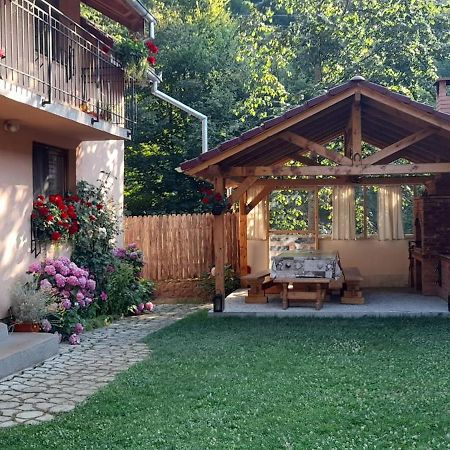 Villa Casa Iulia & Matei Cîrţişoara Exterior foto