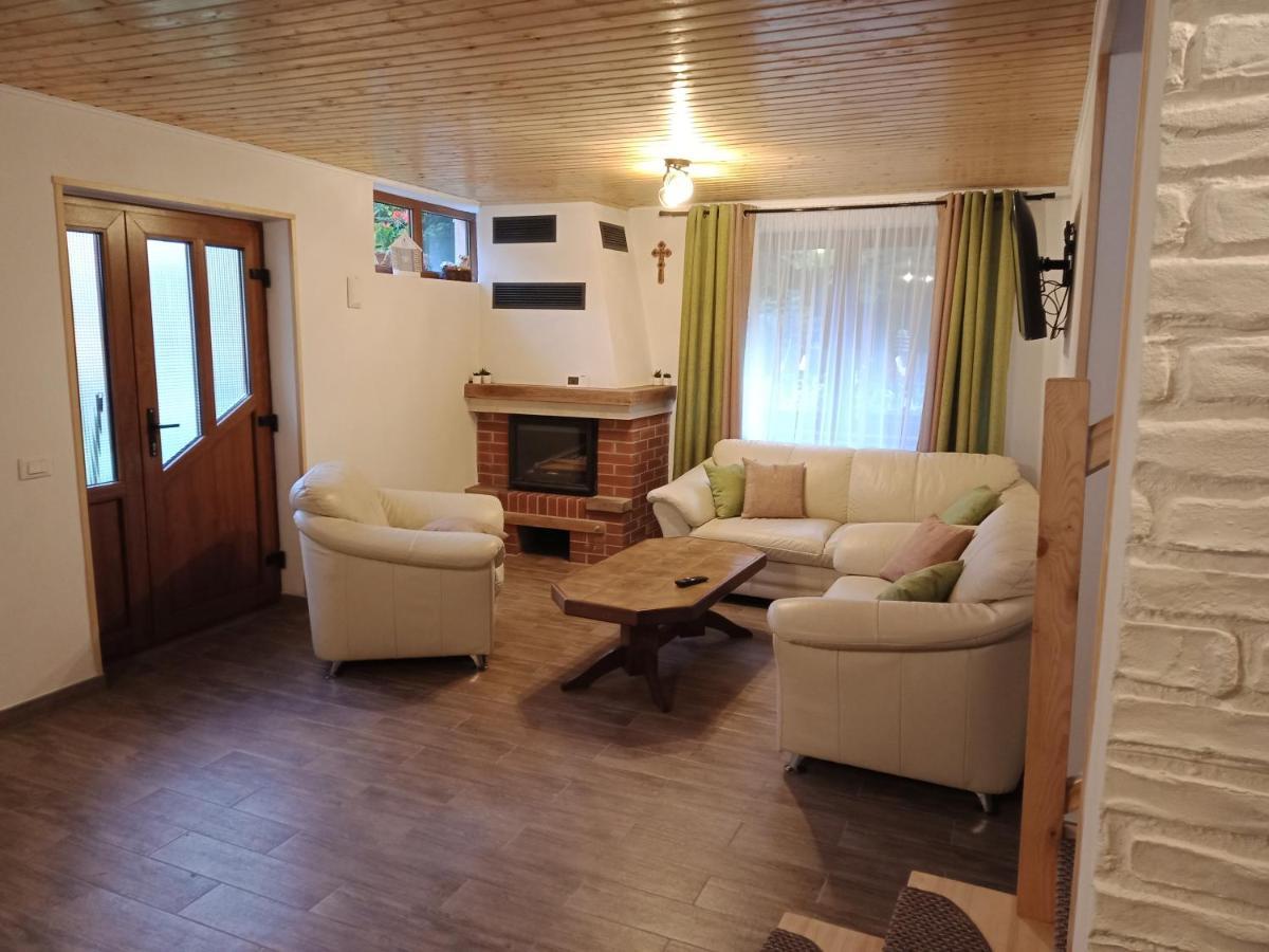 Villa Casa Iulia & Matei Cîrţişoara Exterior foto