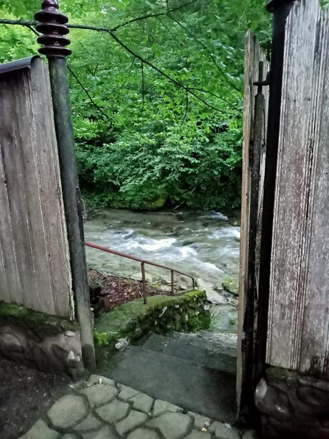 Villa Casa Iulia & Matei Cîrţişoara Exterior foto