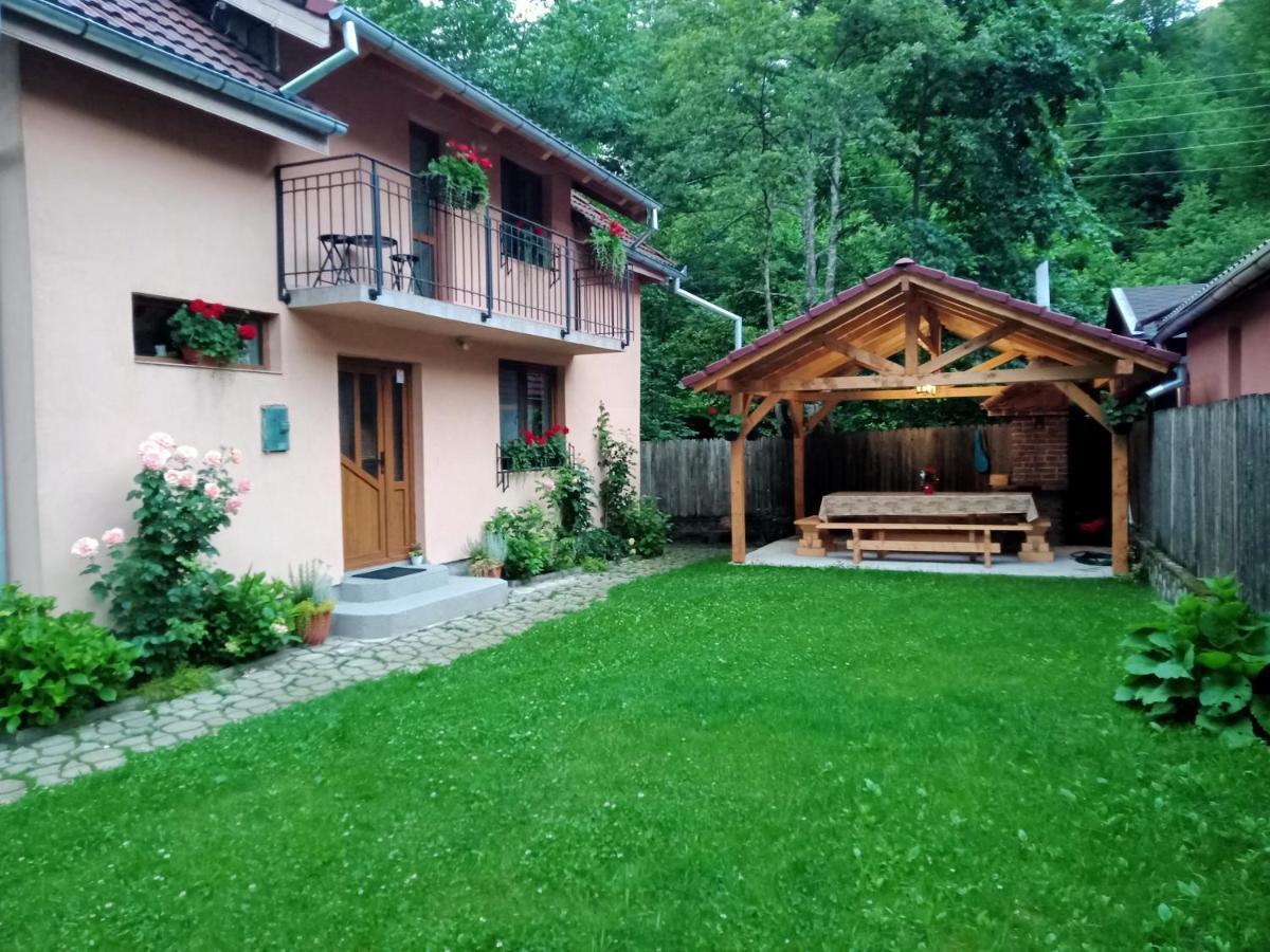 Villa Casa Iulia & Matei Cîrţişoara Exterior foto