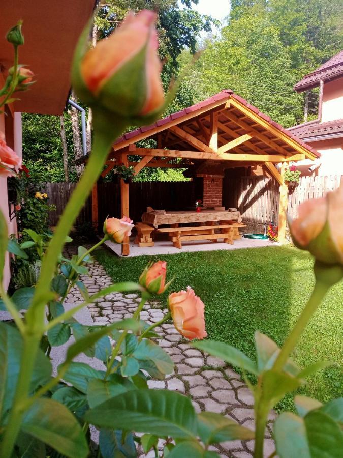 Villa Casa Iulia & Matei Cîrţişoara Exterior foto
