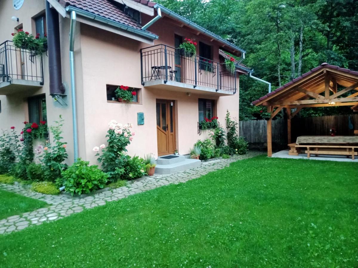 Villa Casa Iulia & Matei Cîrţişoara Exterior foto