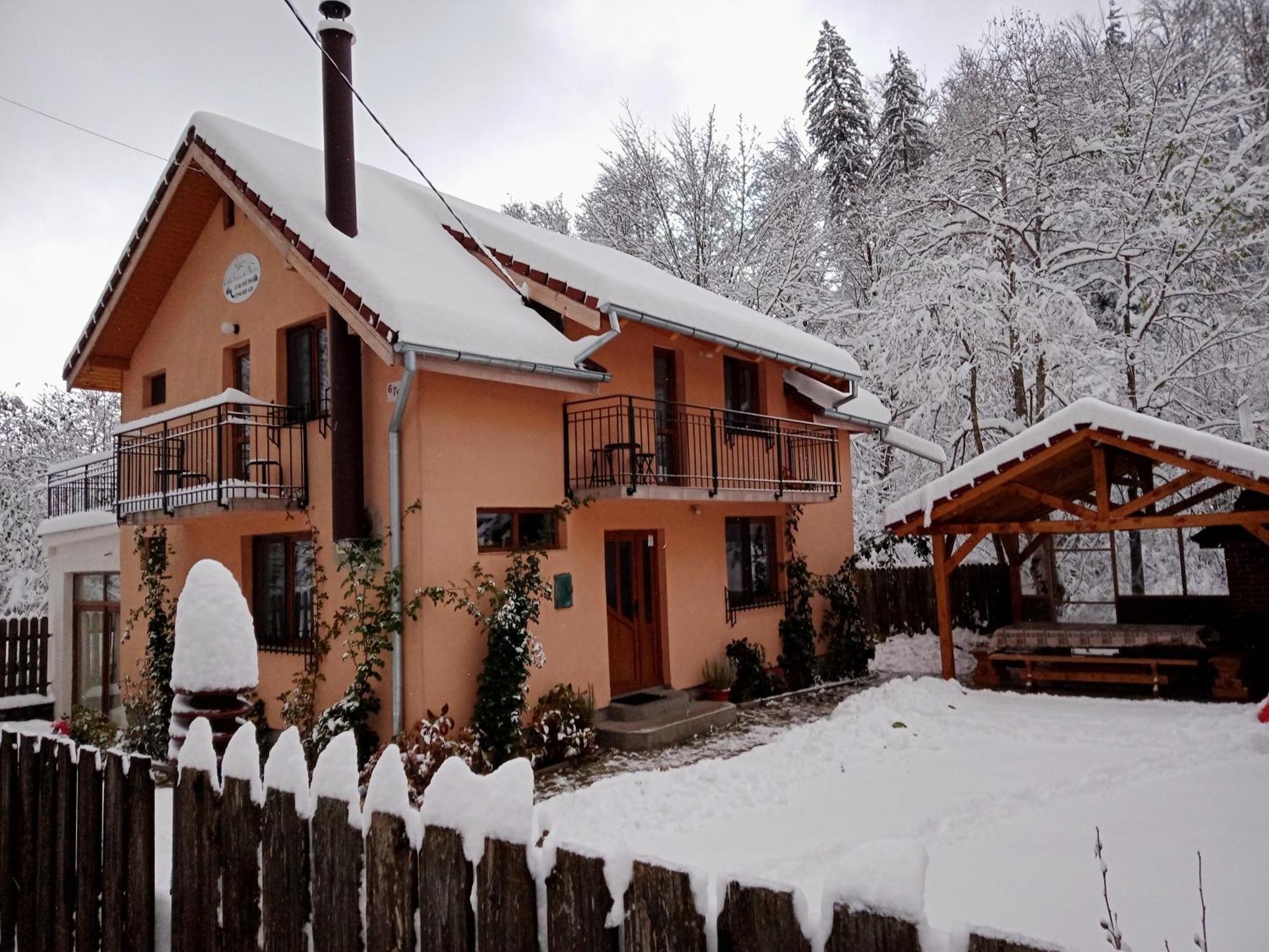 Villa Casa Iulia & Matei Cîrţişoara Exterior foto