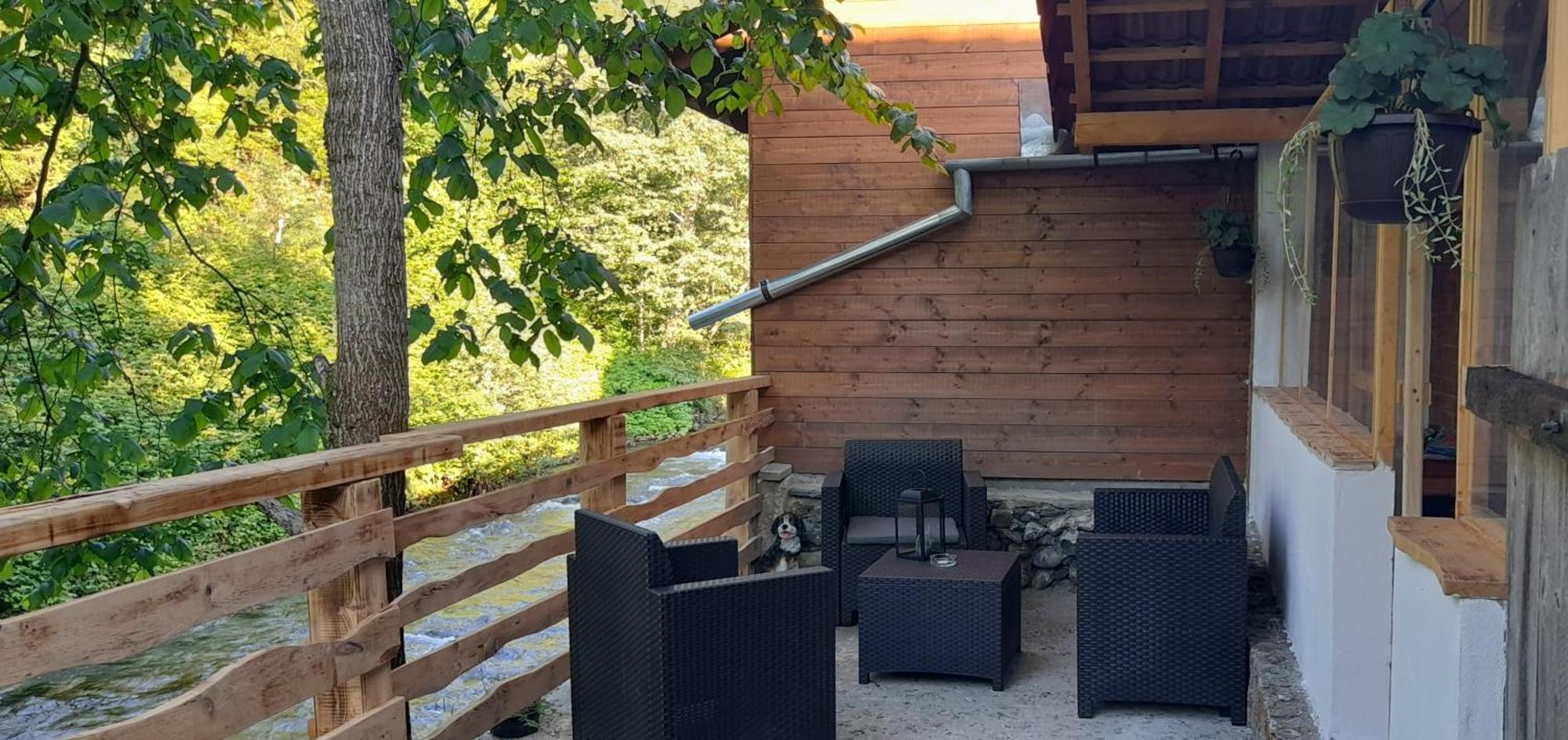 Villa Casa Iulia & Matei Cîrţişoara Exterior foto
