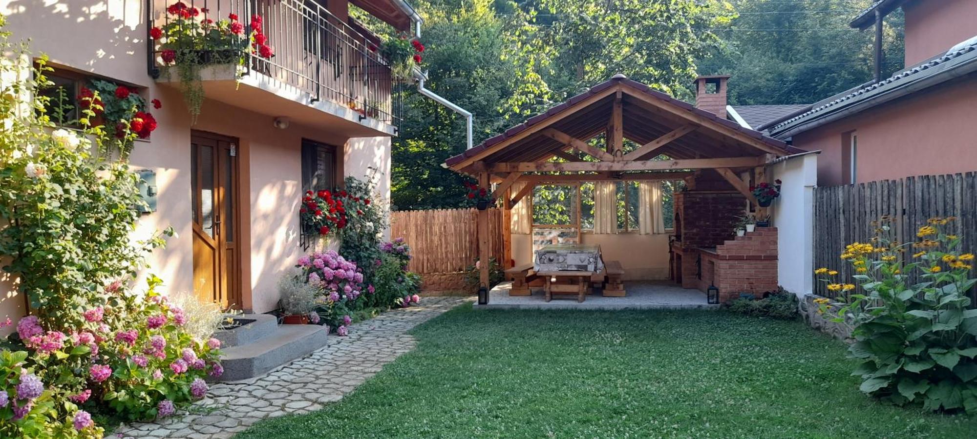 Villa Casa Iulia & Matei Cîrţişoara Exterior foto